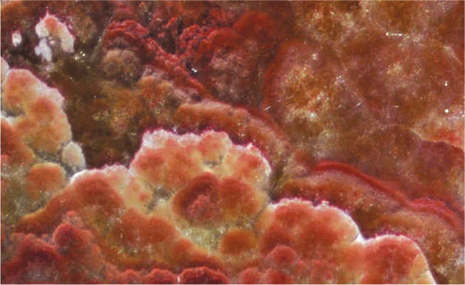 Red Onyx